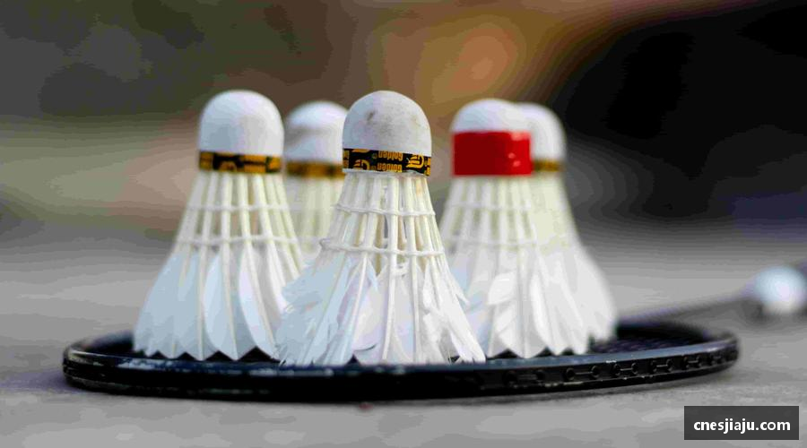 xcsport体育汗水浇灌梦想，坚持成就辉煌